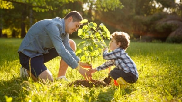 Father and son planting a tree