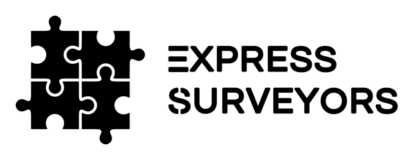 Express Surveyors image