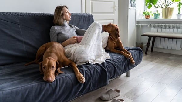 Life insurance after divorce - small