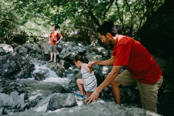 making a splash-the bigger picture-PFP