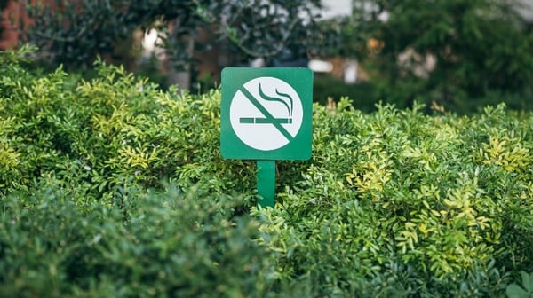 Life insurance for smokers