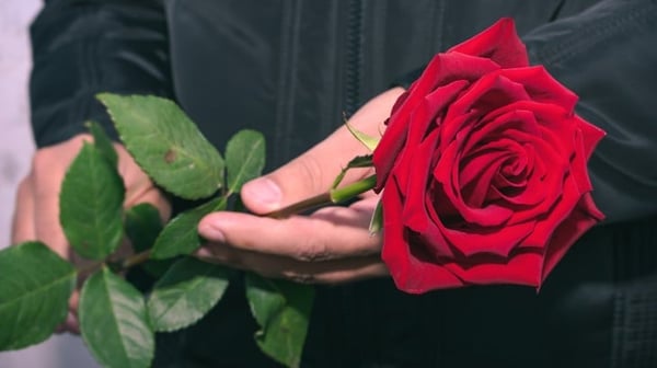 Man at mourning ceremony holding a rose