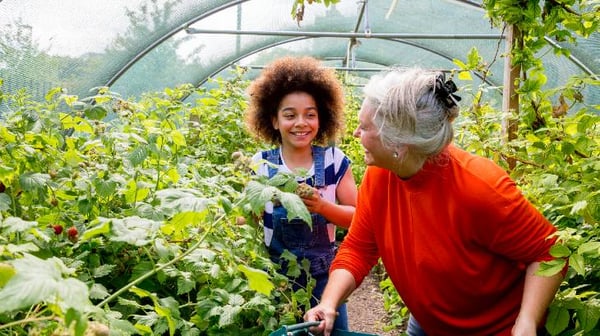 Grandmother gardening with granddaughter