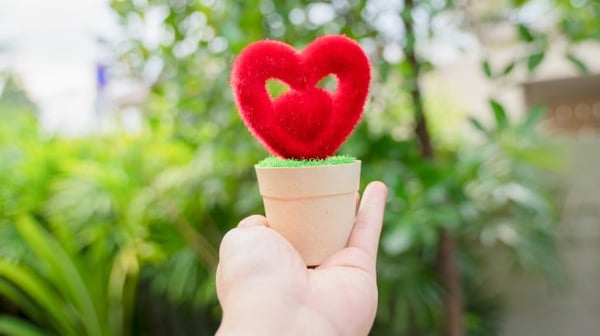 Hand holding red heart