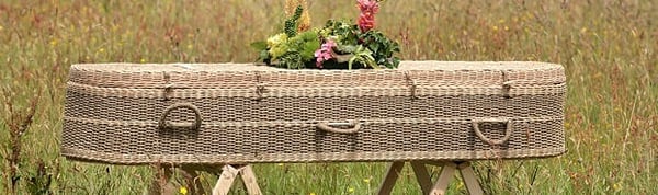Eco coffin