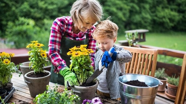 Grandmother and grandson potting plants