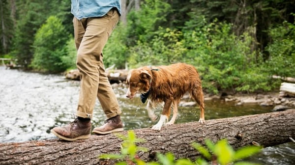 Keeping mobile walking