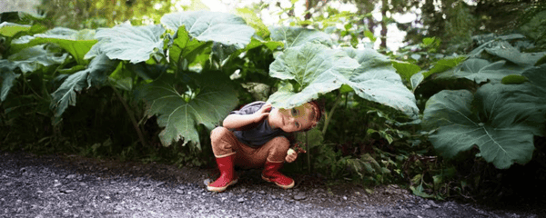 young child playing in greenery