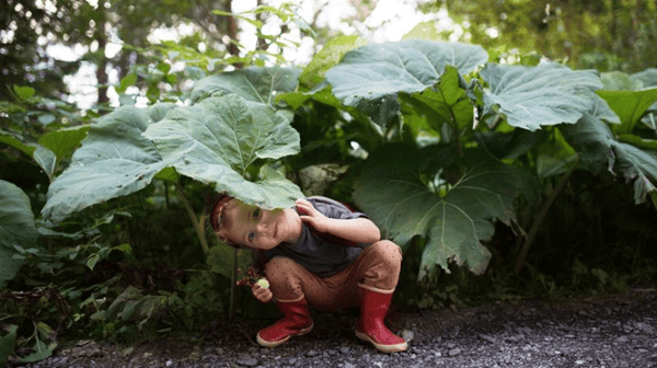 child playing peekaboo