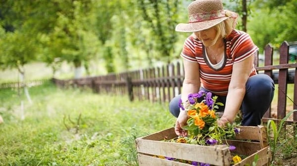 Women in the garden