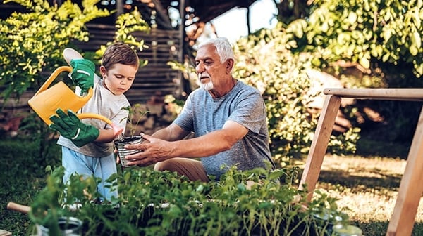 Old man and young child watering some flowers
