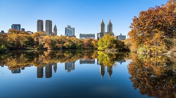 Central Park, New York