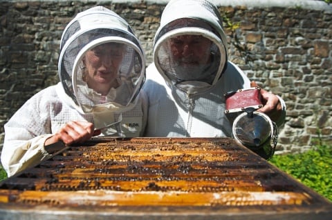 Beekeepers