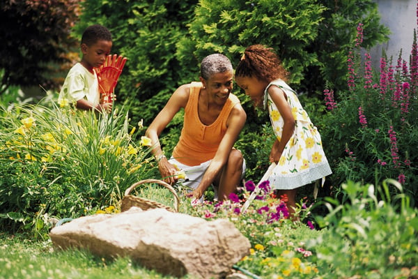 Retirement advice DCJ lead nurture