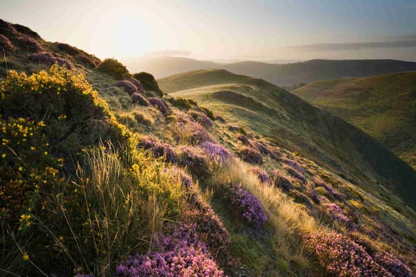 Wiltshire