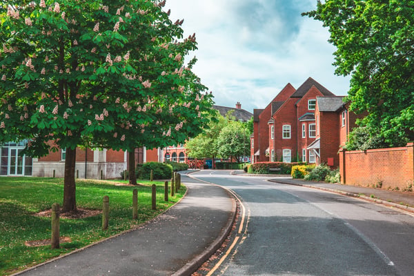 A suburban street, lined with trees and a path alongside the road