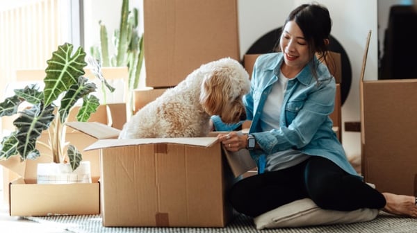 Woman and her dog unpacking boxes at home