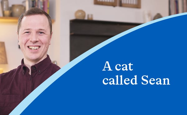 A cat called Sean