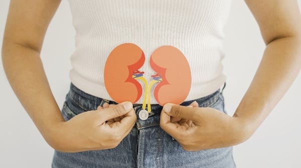 Image of a lady holding images of kidneys