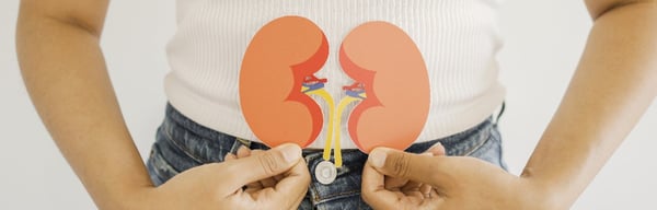 Image of a lady holding images of kidneys