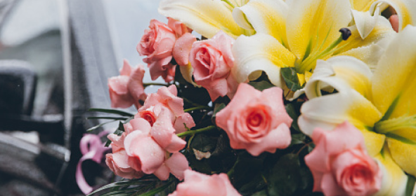 Different coloured roses