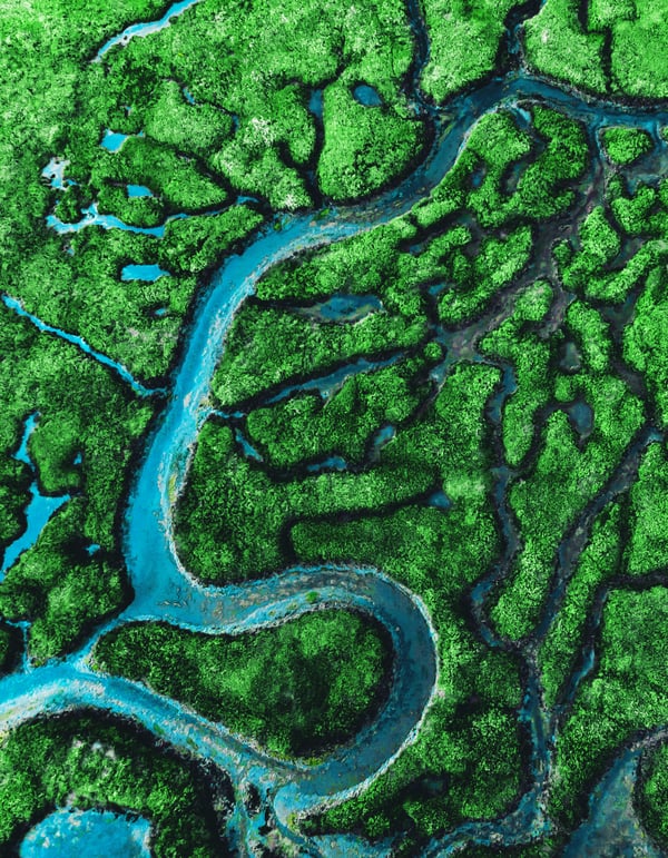 Meander river