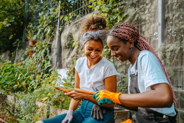 Two women picking carrots