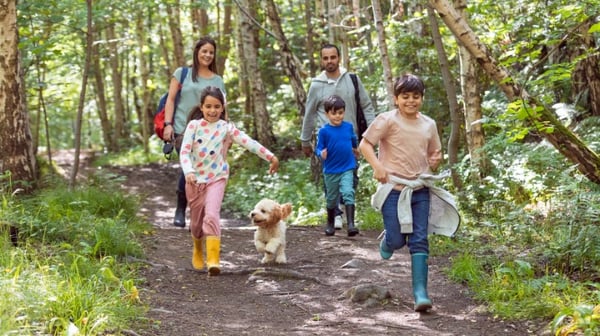 Family running in the woods