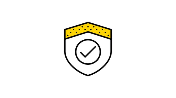 Standard protection icon