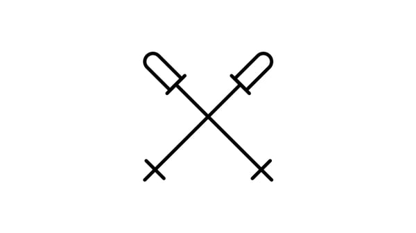 Ski poles icon
