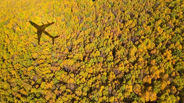 Shadow of passenger jet upon a dense forest