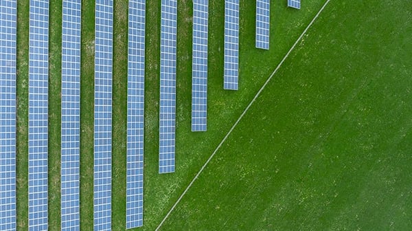 A green field full of solar panels