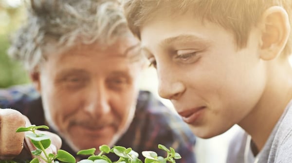 consumer - LGI - FB- father and son plant