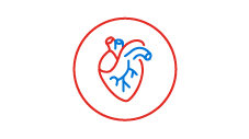 Cardiac Support Icon