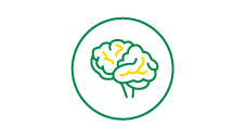 Stroke Support Icon