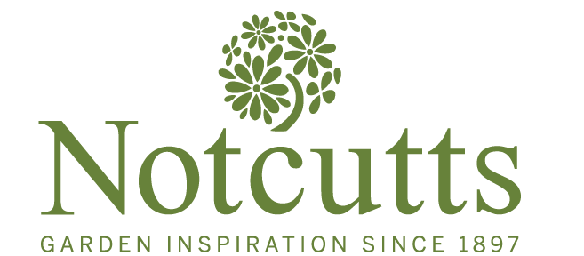 Notcutts logo - go to home