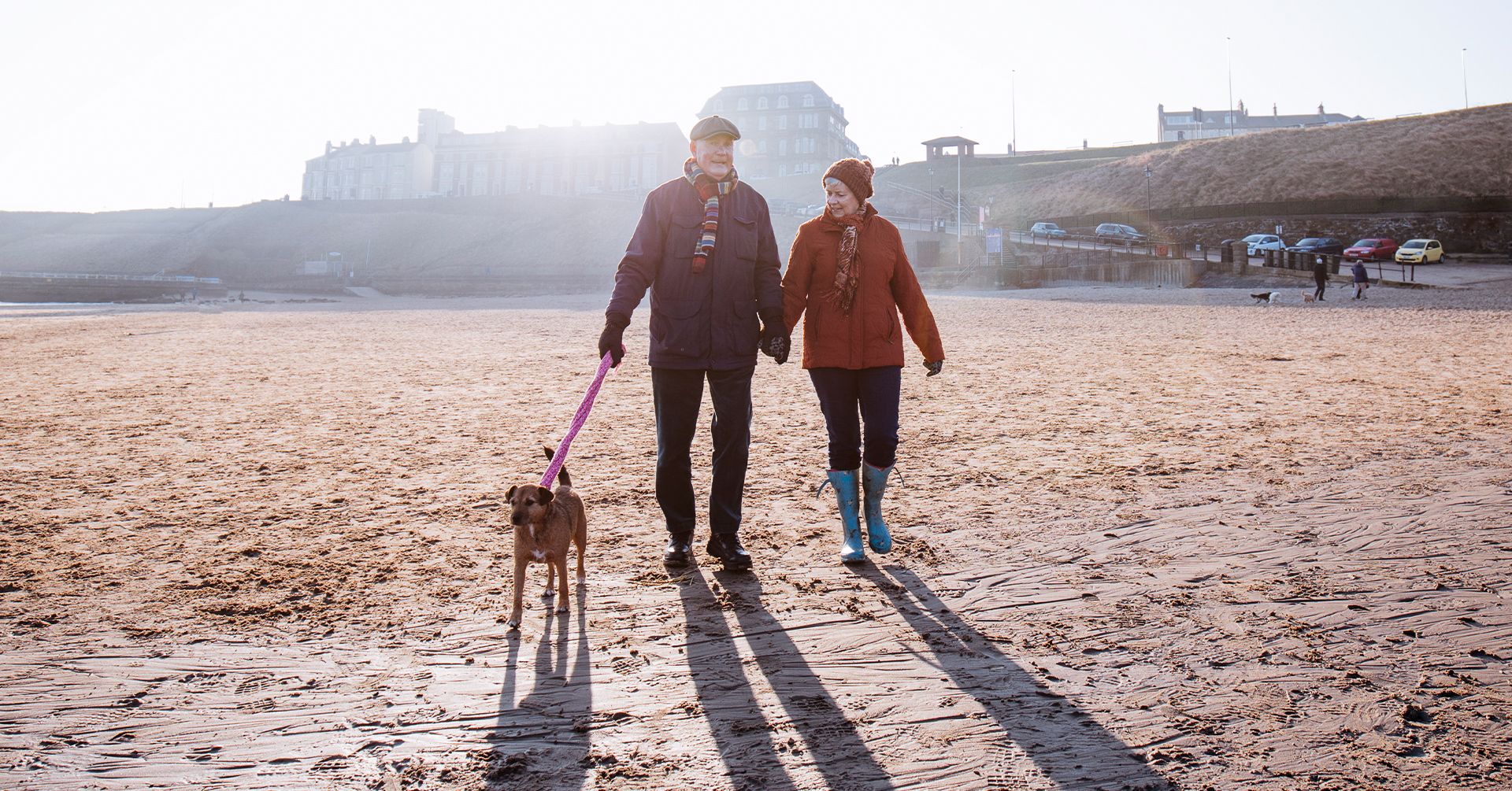 Older couple walking their dog on a beach