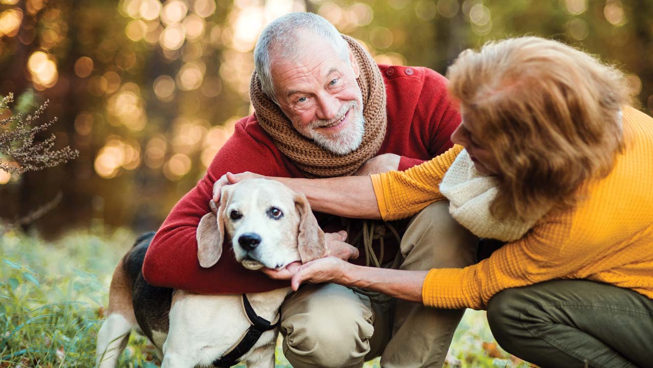 Senior couple with dog