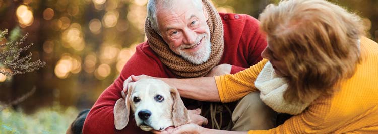 Senior couple with a dog in an autumn nature setting at sunset