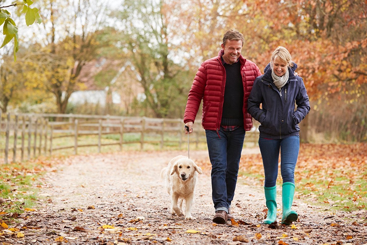Middle age couple walking dog