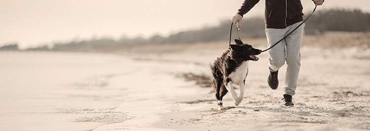 Man and dog running on beach