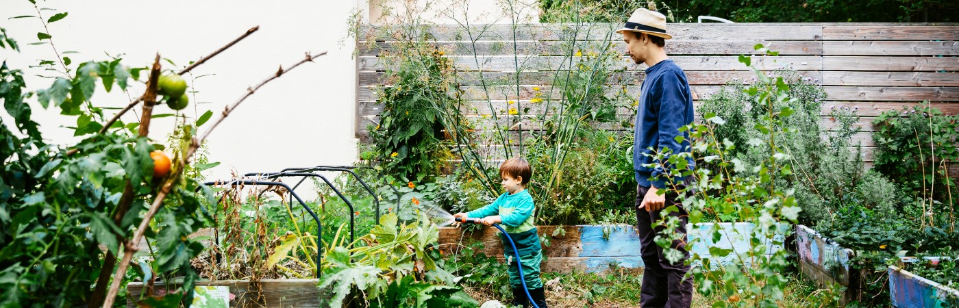 dad and son gardening