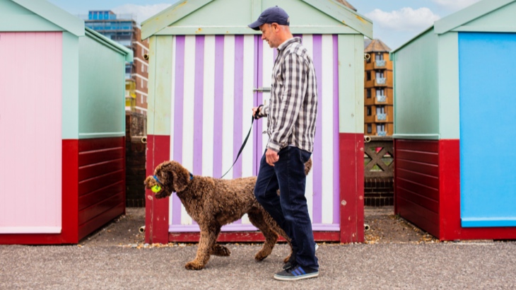Walking dog on Hove seafront