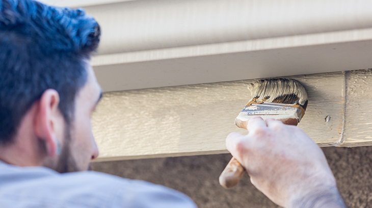 insurance - home insurance - resources - Painting a wall border