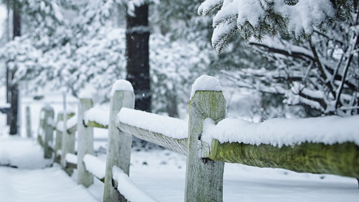 IMG - RESP - Snow in the road