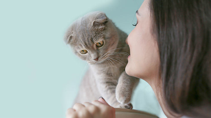 insurance - pet - resources - images - 730x410 - IMG RESP - woman holding a cat close 730x410