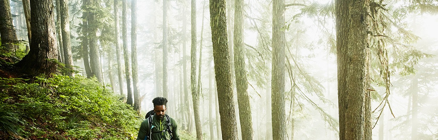 Man walking in woodland