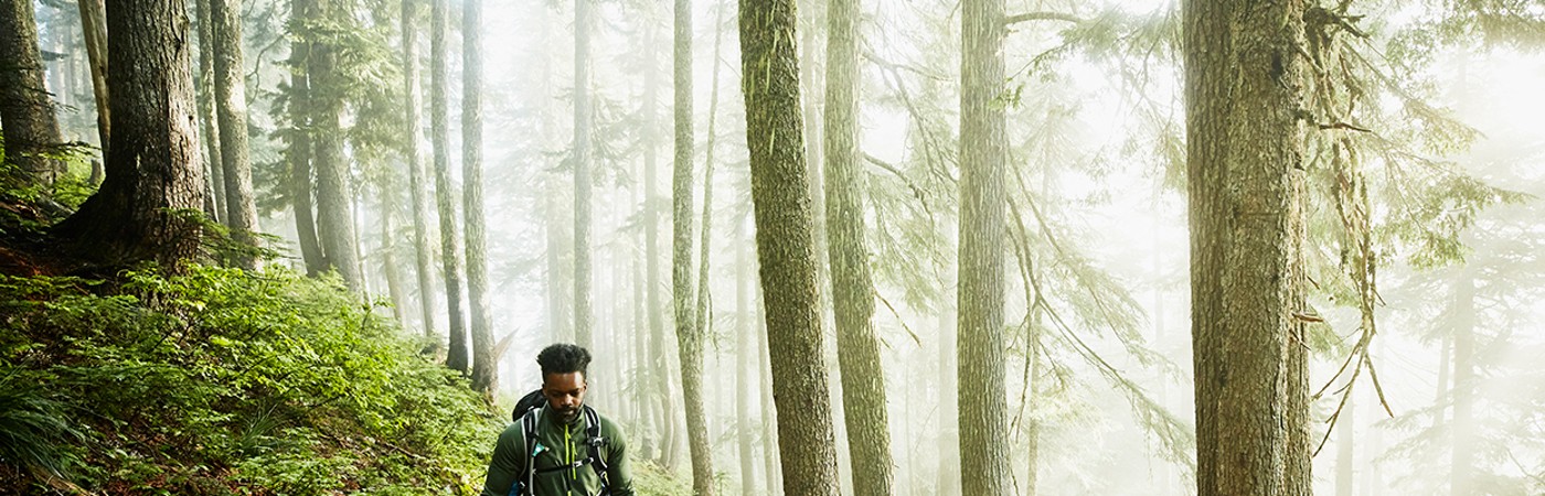 Man walking in woodland