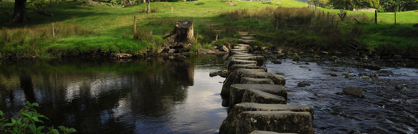 Stepping stones