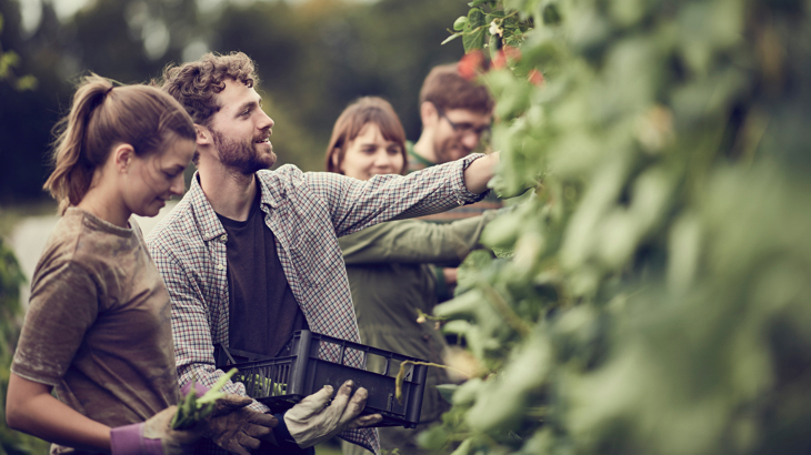 Fruit pickers